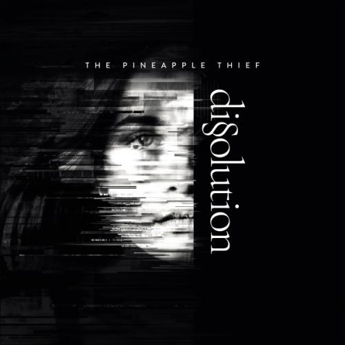 Dissolution by The Pineapple Thief: album artwork