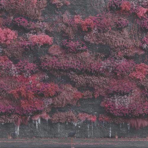 Album review: 'Even in Arcadia' by Sleep Token - Sleep Token 