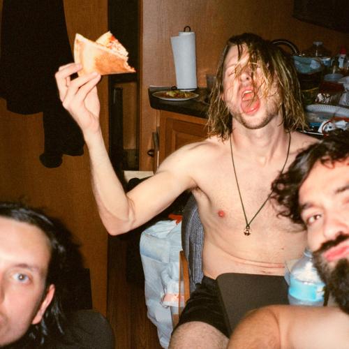 Celebrity Mansions by Dinosaur Pile-Up: artwork