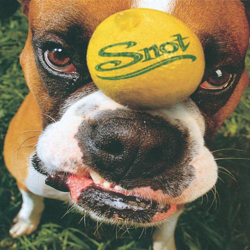 Get Some by Snot: artwork