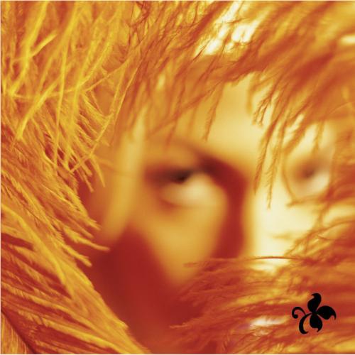 Shangri-La Dee Da by Stone Temple Pilots: artwork