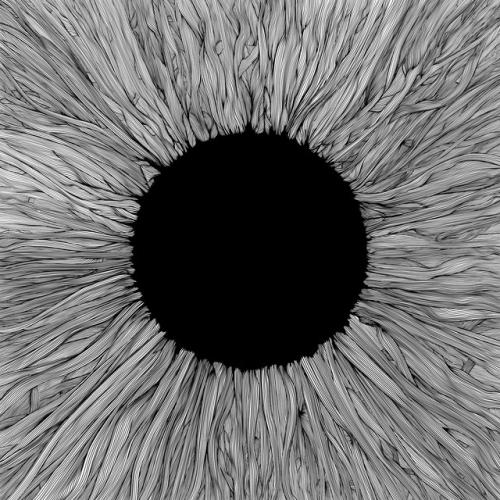 Witness by VOLA: artwork