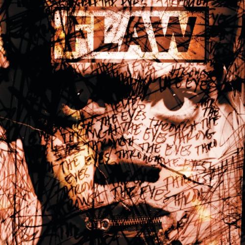 Through the Eyes by Flaw: artwork