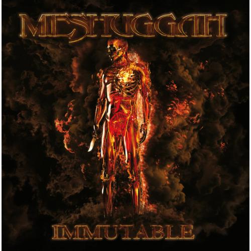 Immutable by Meshuggah: album artwork