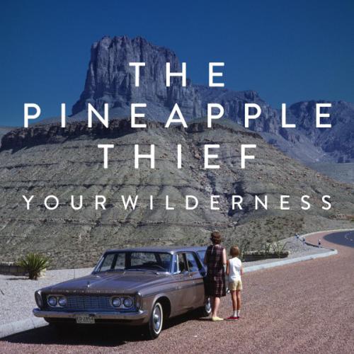 Your Wilderness by The Pineapple Thief: artwork