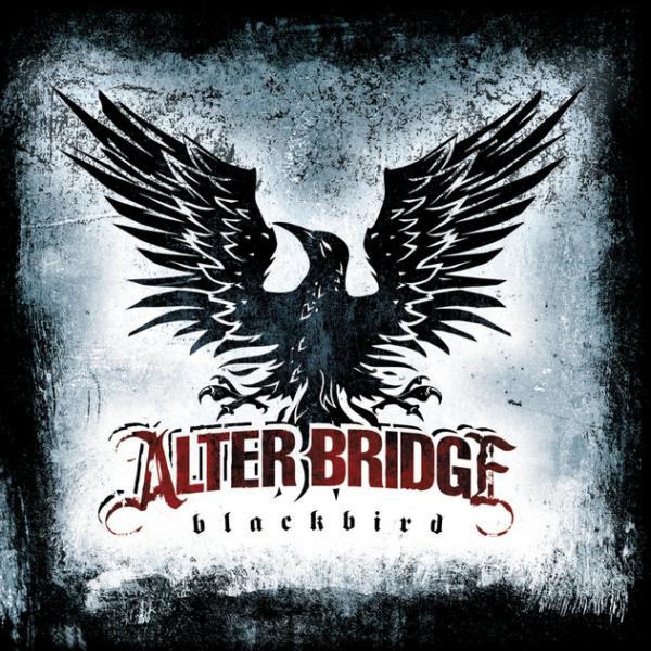 Blackbird artwork