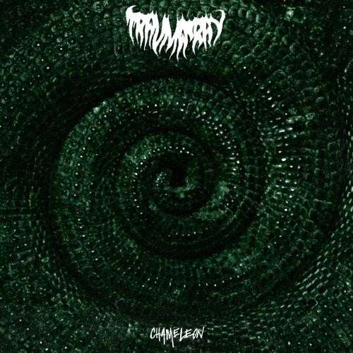 Chameleon by Trauma Ray: artwork