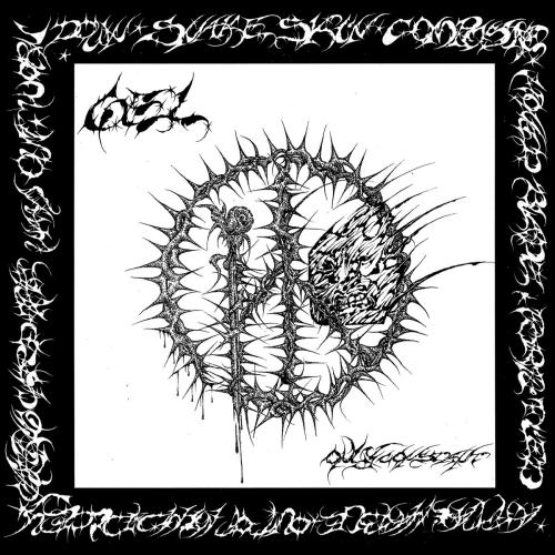 Only Constant by Gel: album artwork