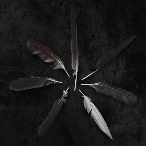 Dust and Disquiet by Caspian: artwork
