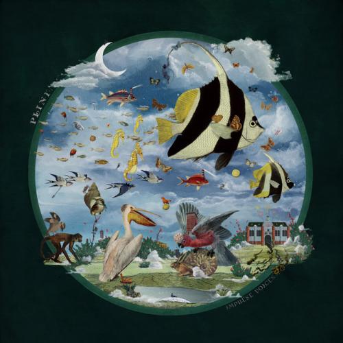Impulse Voices by Plini: artwork