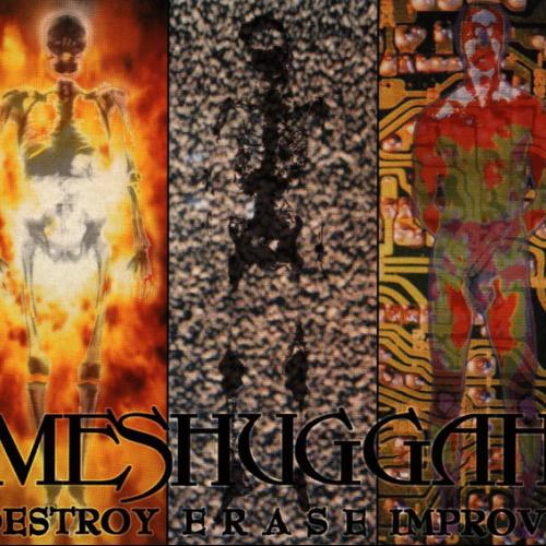 Destroy Erase Improve by Meshuggah: artwork