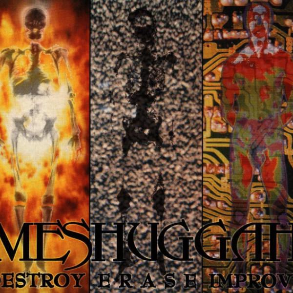 Destroy Erase Improve artwork