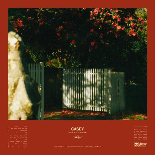 How to Disappear by Casey: artwork