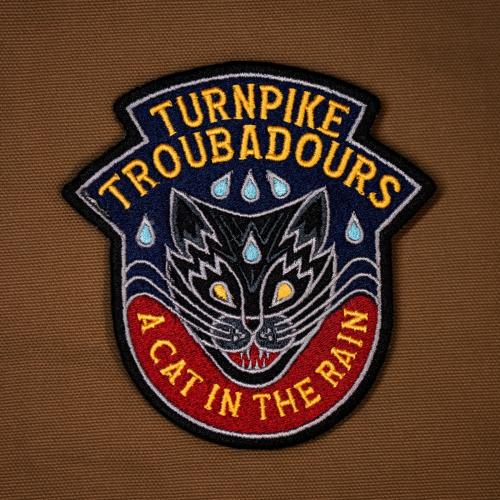 A Cat in the Rain by Turnpike Troubadours: artwork