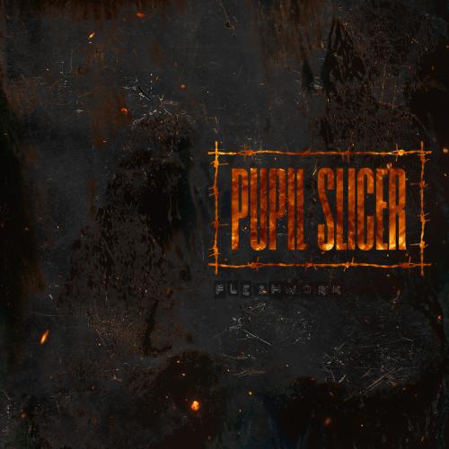 Fleshwork by Pupil Slicer: artwork