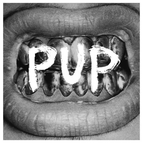 PUP by PUP: artwork