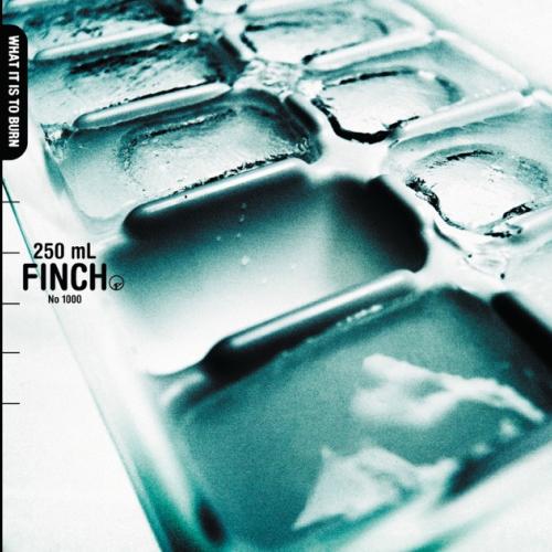 What It Is to Burn by Finch: artwork