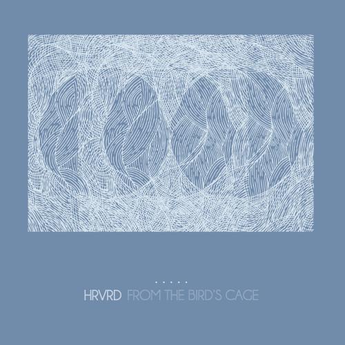 From the Bird’s Cage by HRVRD: artwork
