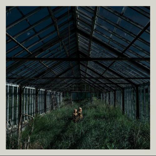 Dealer by Foxing: artwork