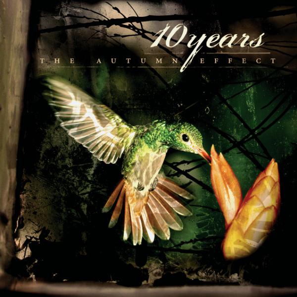The Autumn Effect artwork