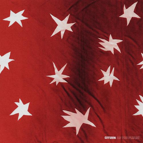 As You Please by Citizen: artwork