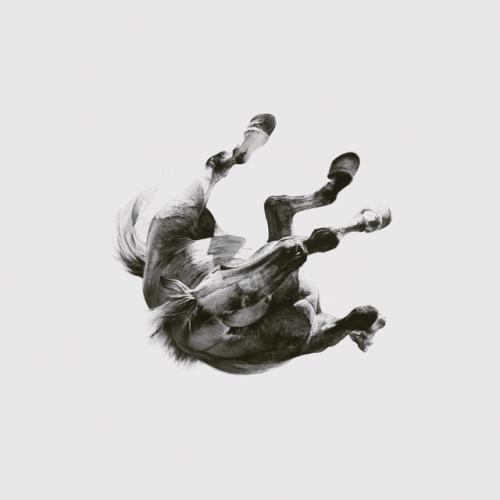 Dark Is the Way, Light Is a Place by Anberlin: artwork