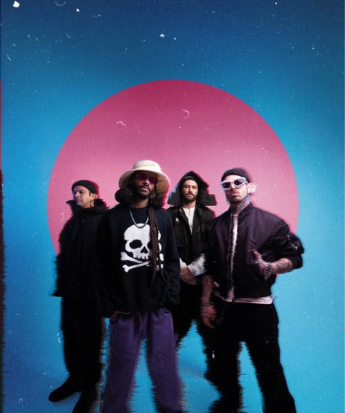 Dropout Kings