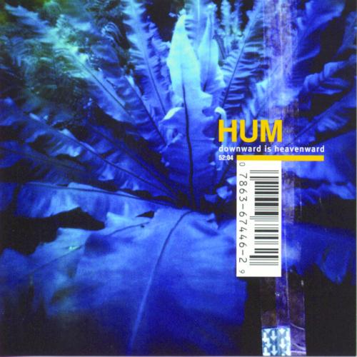 Downward Is Heavenward by Hum: artwork