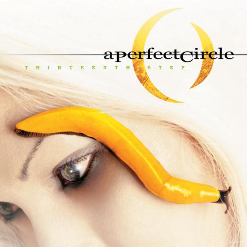 Thirteenth Step by A Perfect Circle: artwork