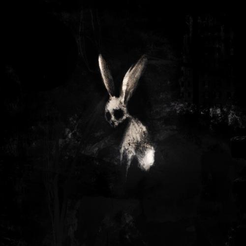 Albumhoes: FOLLOW THE WHITE RABBIT van GHØSTKID
