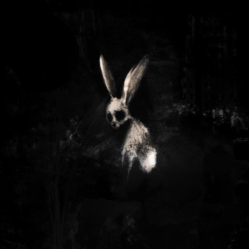 Albumhoes: FOLLOW THE WHITE RABBIT van GHØSTKID