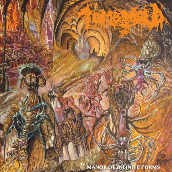 Cover artwork: Manor of Infinite Forms