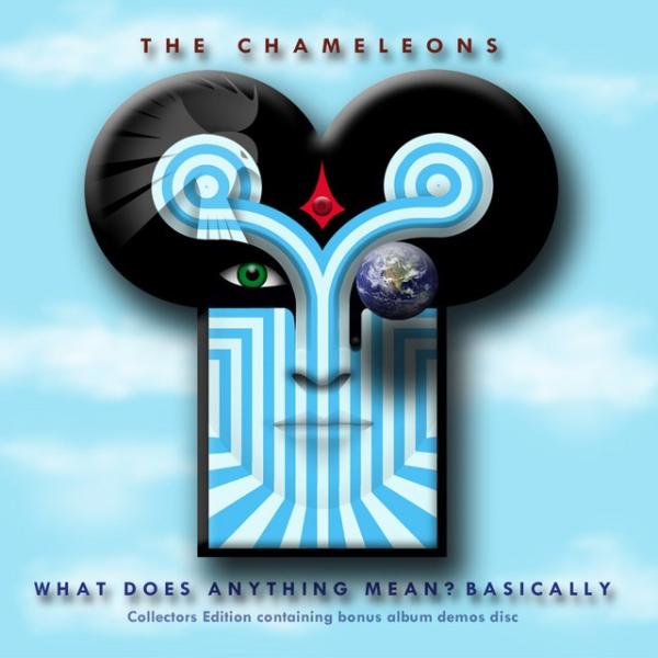 Cover artwork: What Does Anything Mean? Basically
