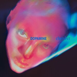 Cover artwork: Dopamine Chamber by Fontaines D.C.