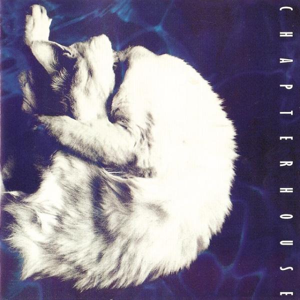 Cover artwork: Whirlpool