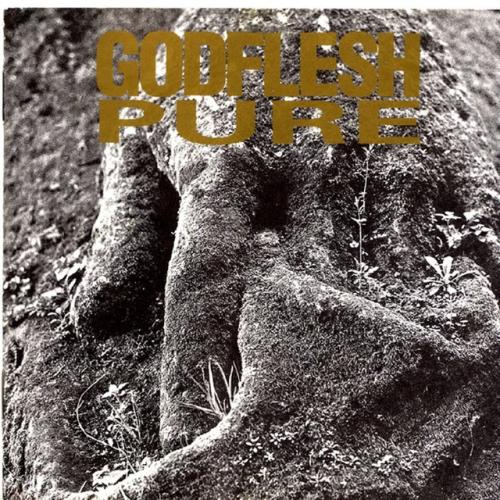 Cover artwork: Pure by Godflesh