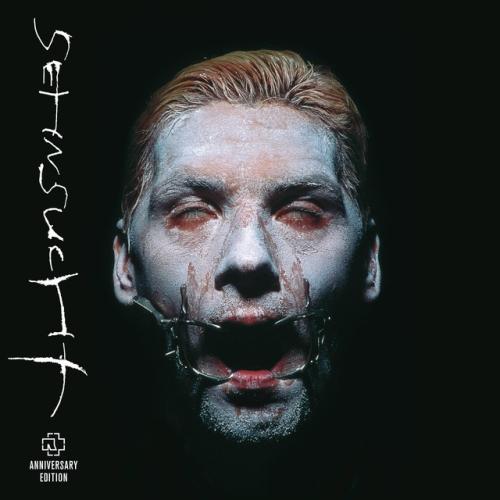 Cover artwork: Sehnsucht by Rammstein