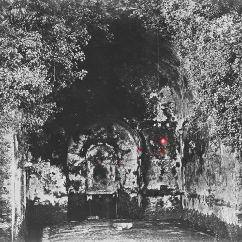 Cover artwork: Rare Field Ceiling by Yellow Eyes