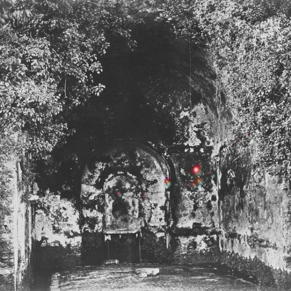 Cover artwork: Rare Field Ceiling