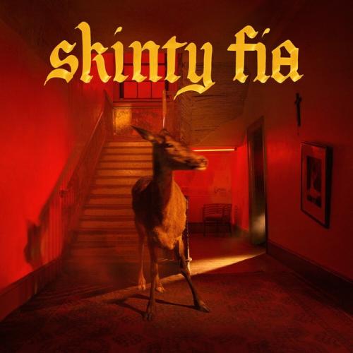 Cover artwork: Skinty Fia by Fontaines D.C.
