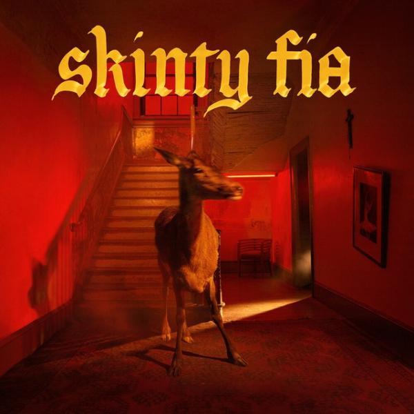 Cover artwork: Skinty Fia